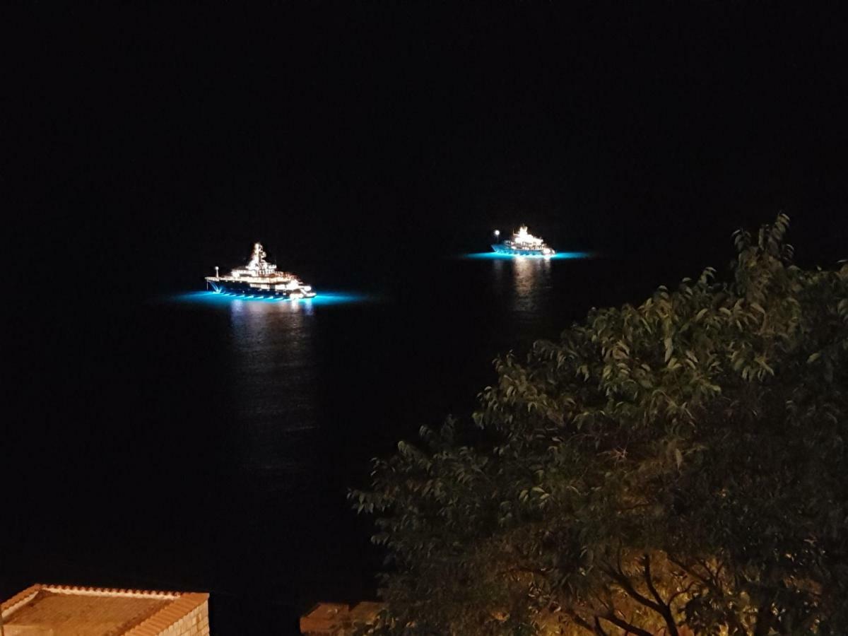 Villa Palmera Dubrovník Exteriér fotografie