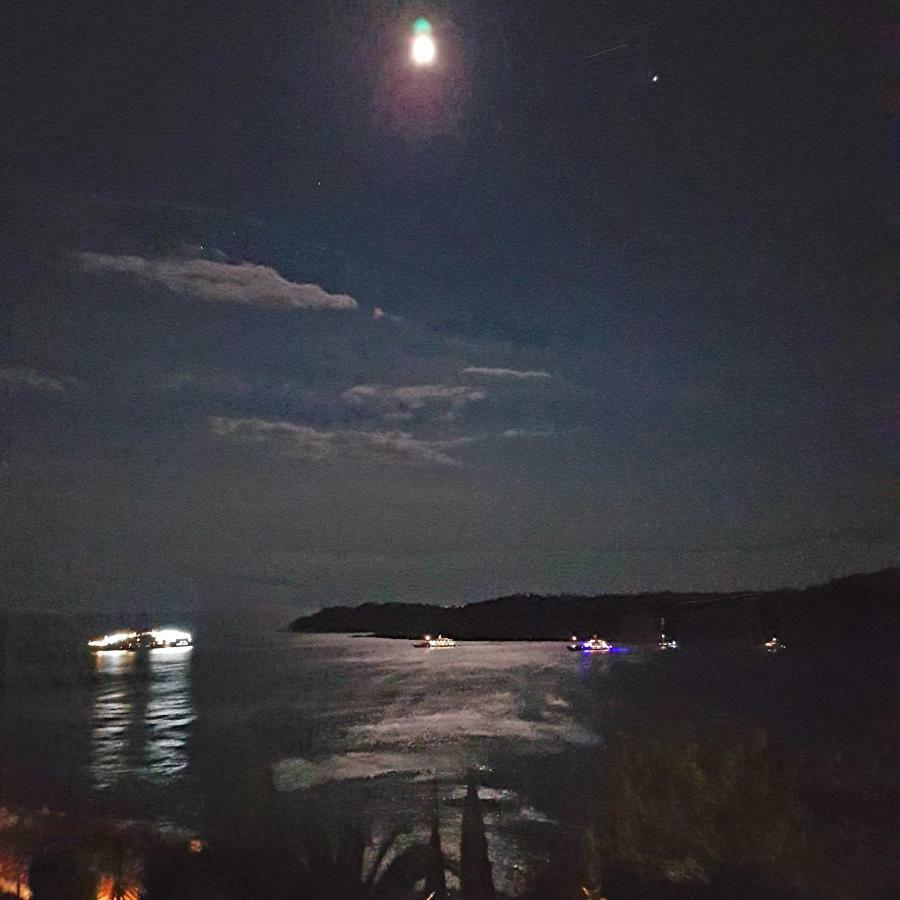 Villa Palmera Dubrovník Exteriér fotografie