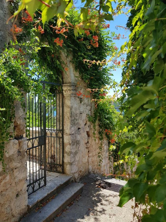 Villa Palmera Dubrovník Exteriér fotografie