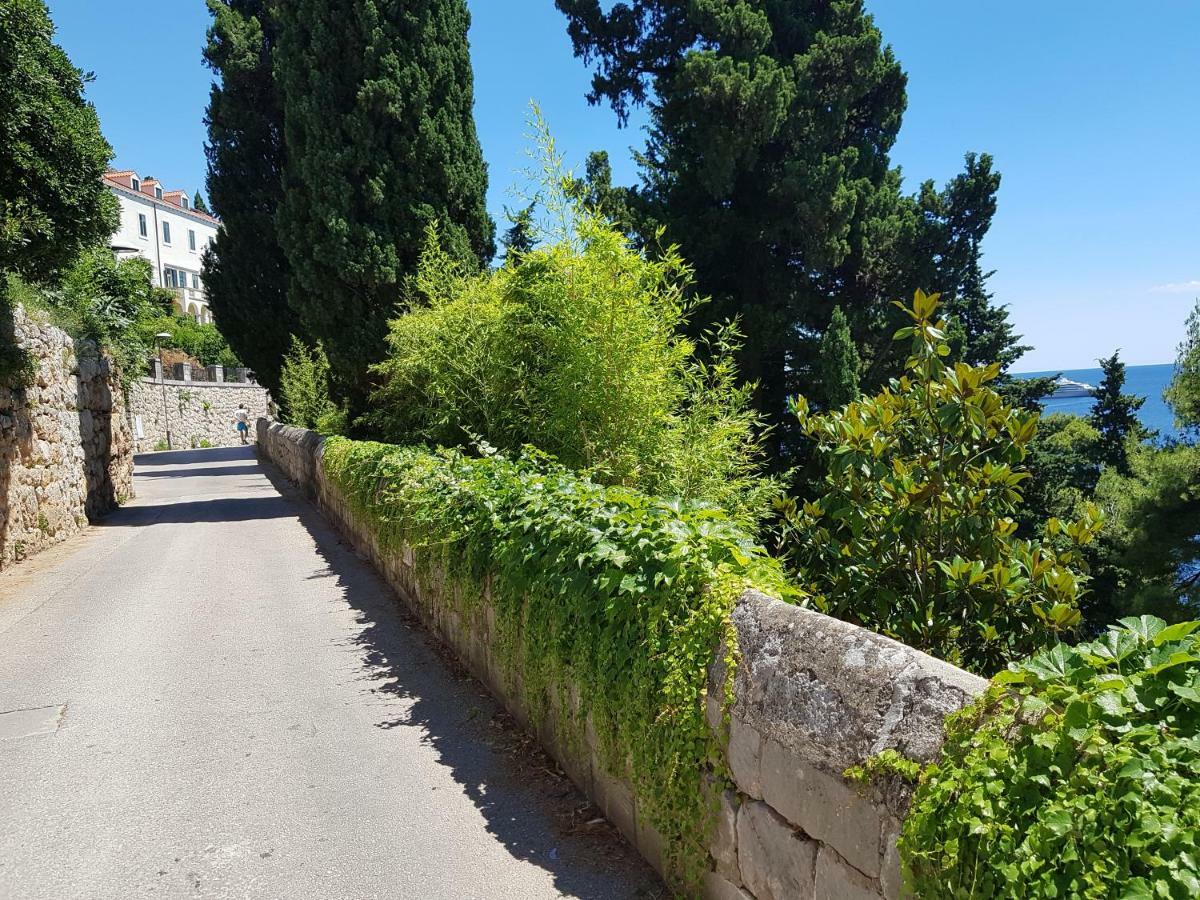 Villa Palmera Dubrovník Exteriér fotografie